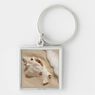 Llavero Seashell en la isla caribeña magnífica del turco