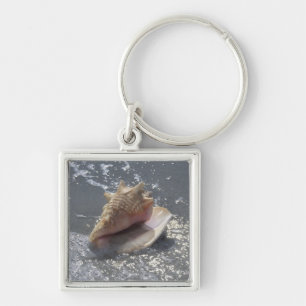 Llavero Seashell en la isla de la playa el   Sanibel, la