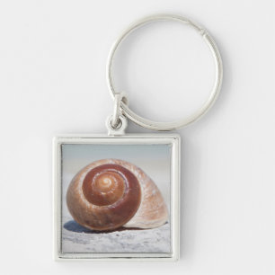 Llavero Seashell en la playa el   St Petersburg, la