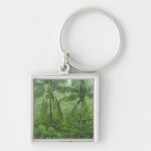 Llavero Selva tropical tropical