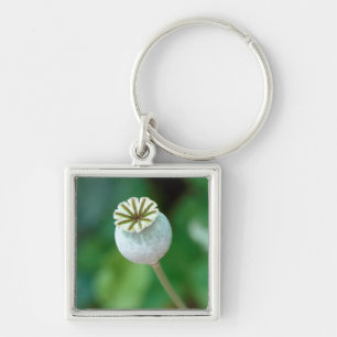 Llavero Semilla de la cabeza de la amapola, Cabo Occidenta