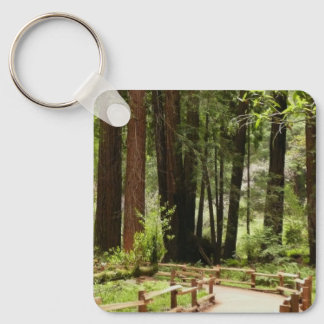 Llavero Sendero de Muir Woods I Fotografía de la Naturalez