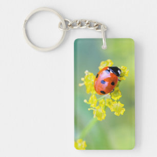 Llavero señora de arriba