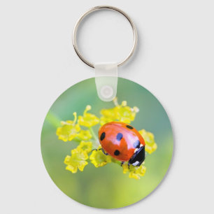 Llavero señora de arriba