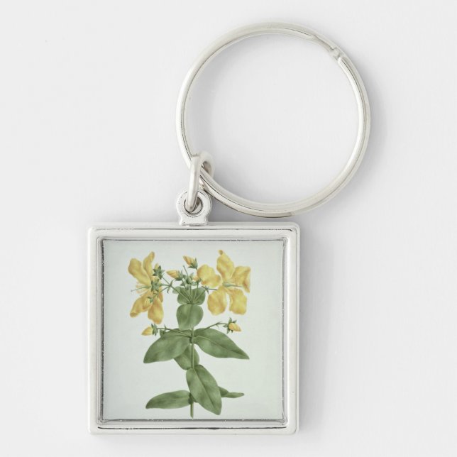 Llavero Sensación-Búsqueda (quartinianum del Hypericum) (Frente)