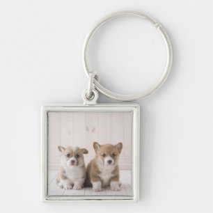 Llavero Sentada del Corgi de dos Galés