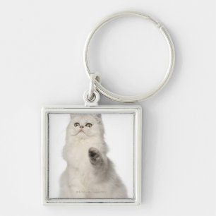 Llavero Sentada del gato persa