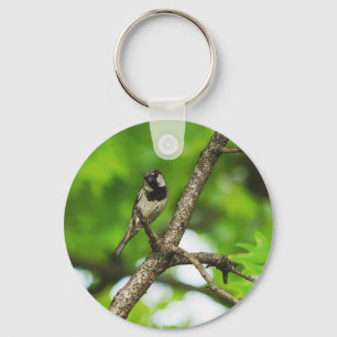 Llavero Sentado alrededor