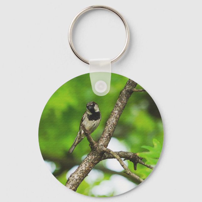 Llavero Sentado alrededor (Anverso)