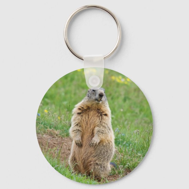 Llavero Sentinel marmot (Anverso)