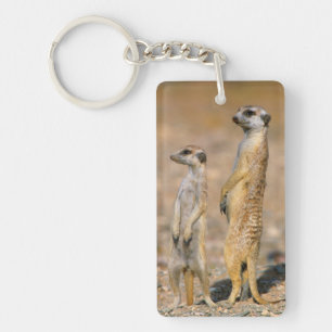 Llavero Sentinelas de suricata (Suricata suricatta), Karas
