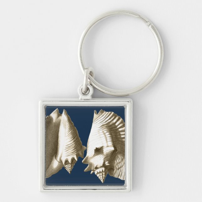 Llavero Sepia Conch Seasheles (Frente)