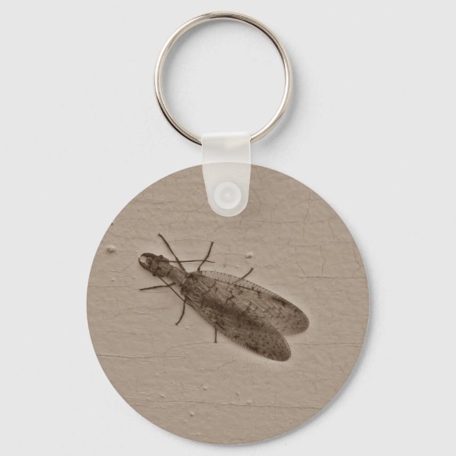 Llavero Sepia de insectos voladores de Dobsonfly (Anverso)