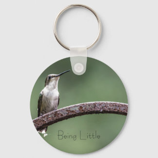 Llavero Ser el pequeño botón Hummingbird