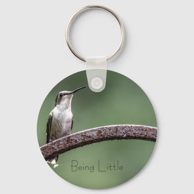 Llavero Ser el pequeño botón Hummingbird (Anverso)
