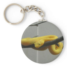 Serpiente