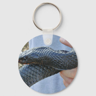 Llavero Serpiente de añil del este (couperi de los corais