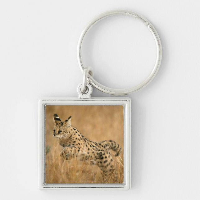 Llavero Serval (Leptailurus Serval) Saltando (Frente)