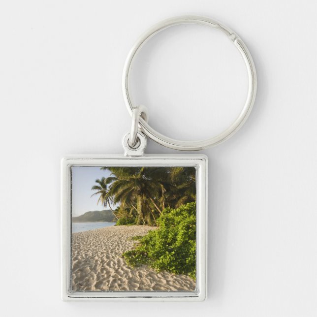 Llavero Seychelles, isla Mahe, Anse Marie-Louise (Frente)