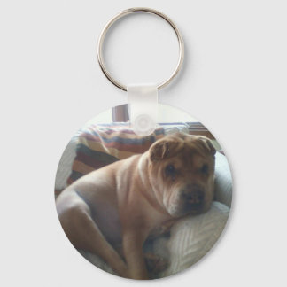 Llavero Shar-Pei