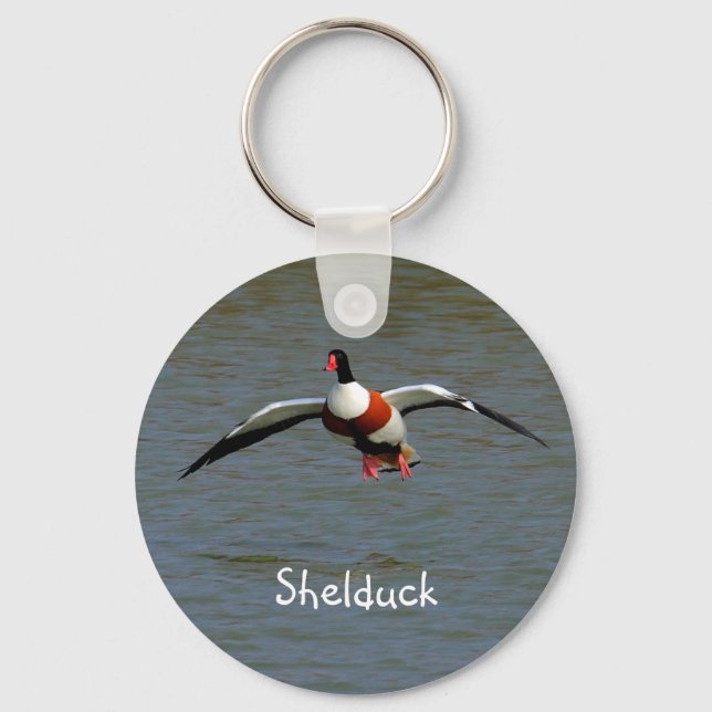 Llavero Shelduck (Anverso)