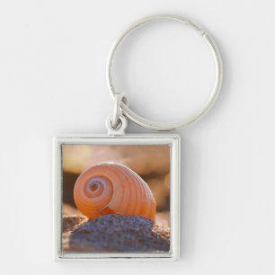 Llavero Shell Bokeh  Greece