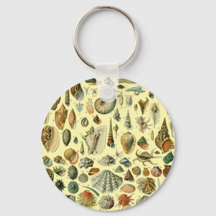 Llavero Shell de conchas marinas Mollusk Clam Elegante Art