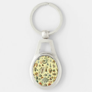 Llavero Shell de conchas marinas Mollusk Clam Elegante Art