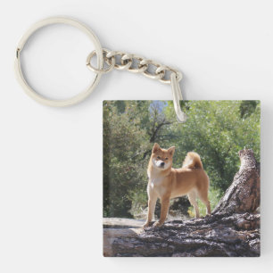 Llavero Shiba Inu