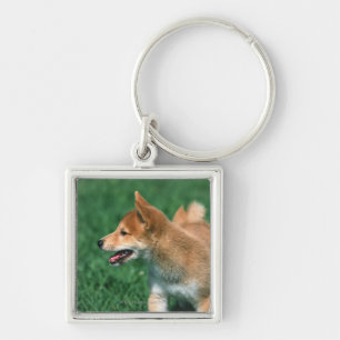 Llavero Shiba muy pequeño japonés