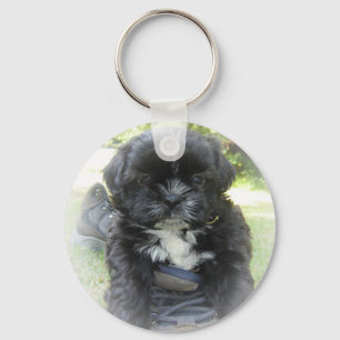 Llavero Shih Tzu Puppy Key Chain