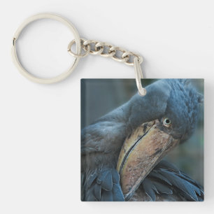 Llavero Shobill Coaster