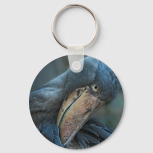 Llavero Shobill Coaster