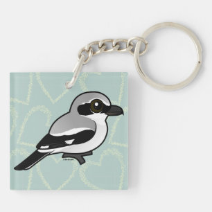 Llavero Shrike del norte, que se puede remontar