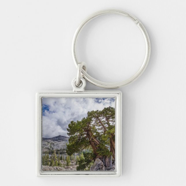 Llavero Sierra Juniper y árboles de hoja perenne (Frente)
