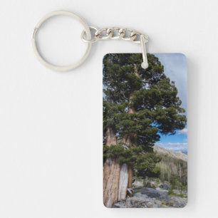 Llavero Sierra Juniper y árboles de hoja perenne 2