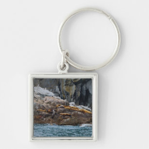 Llavero Siguiente en línea