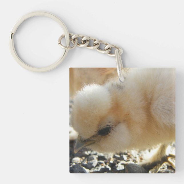 Llavero Silkie Chick Keychain (Frente)