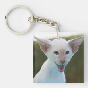 Llavero Silly Siamese