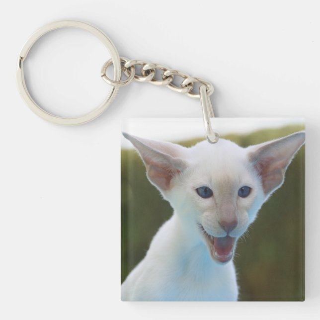 Llavero Silly Siamese (Frente)