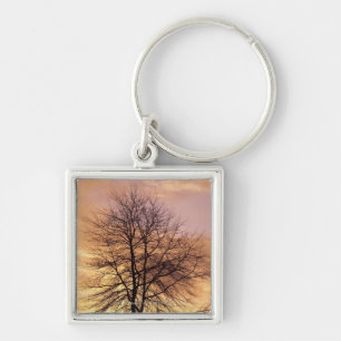 Llavero Silueta de un árbol con el cielo rosado y