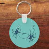 Sinapsis entre neuronas, neuronas neurocientíficas