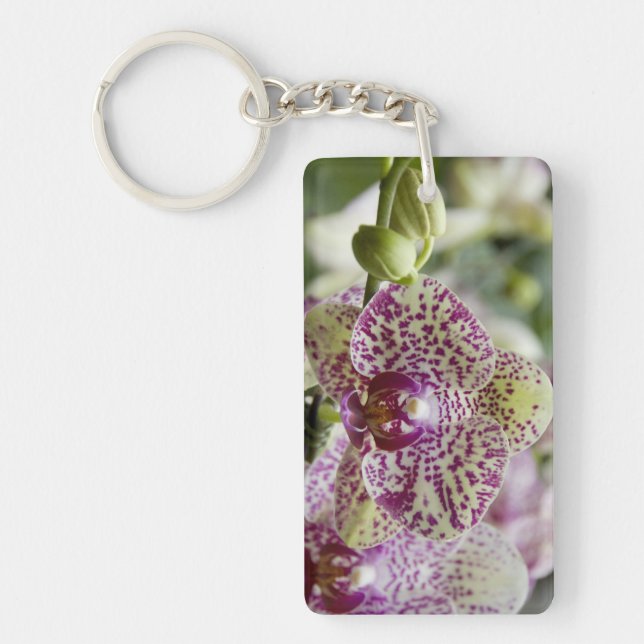 Llavero Singapur (Sanskrit por Ciudad León). Nacional (Frente)