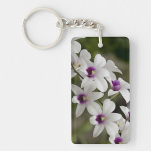 Llavero Singapur (Sanskrit por Ciudad León). Nacional 2