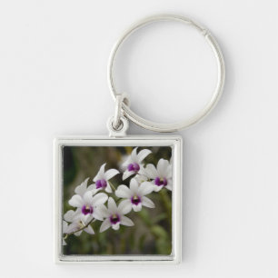 Llavero Singapur (Sanskrit por Ciudad León). Nacional 2