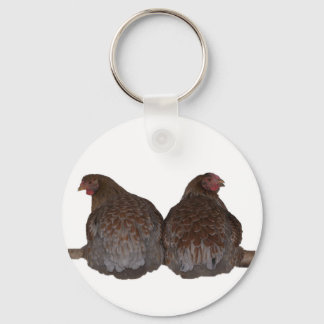 Llavero Sisters - Blue Laced Wyandotte Hens Roosting