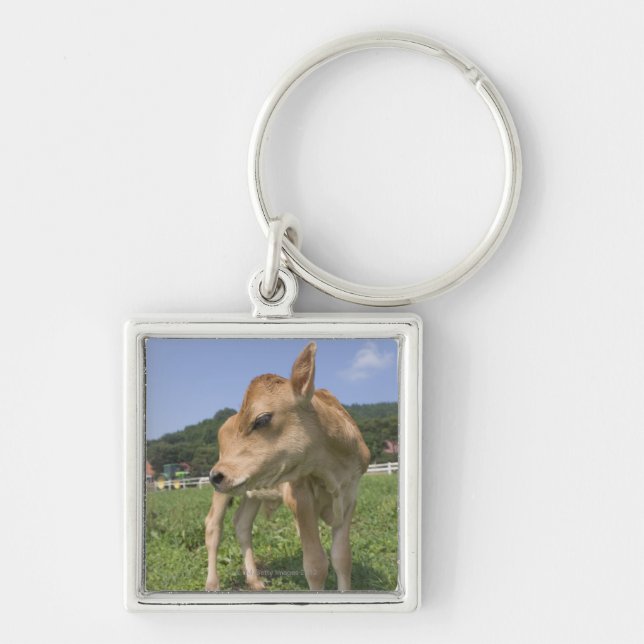 Llavero Situación del becerro (Frente)