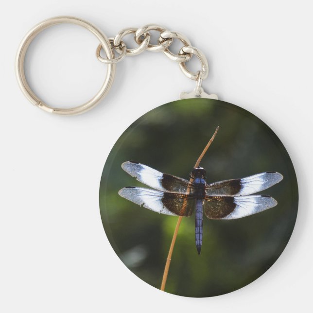 Llavero Skimmer Dragonfly de viuda masculina (Frente)