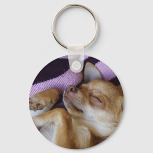 Llavero Sleeping Chihuahua