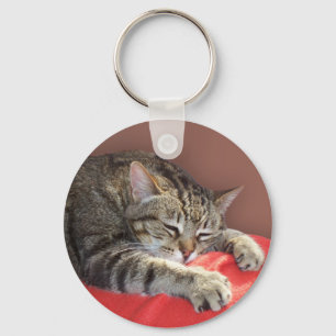 Llavero Sleeping Tabby